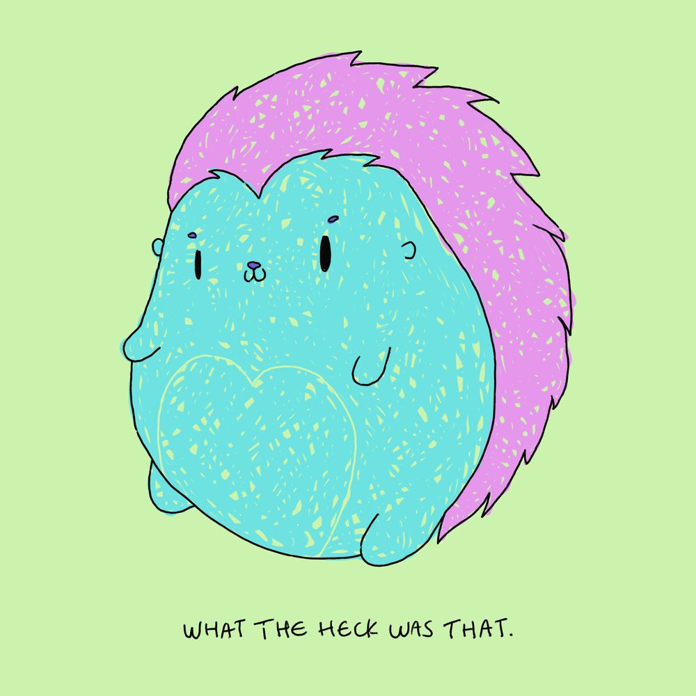 what the heck was that.