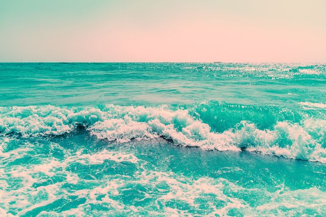 Where the Ocean Remembers