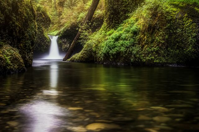 Liquidity III:  Quiescent