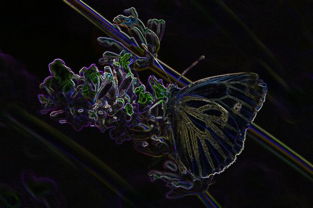 Golden Wings - Lighten up after the dark
