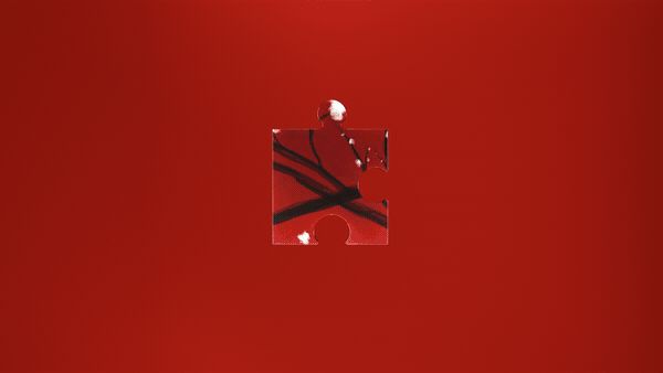 Fragment 13