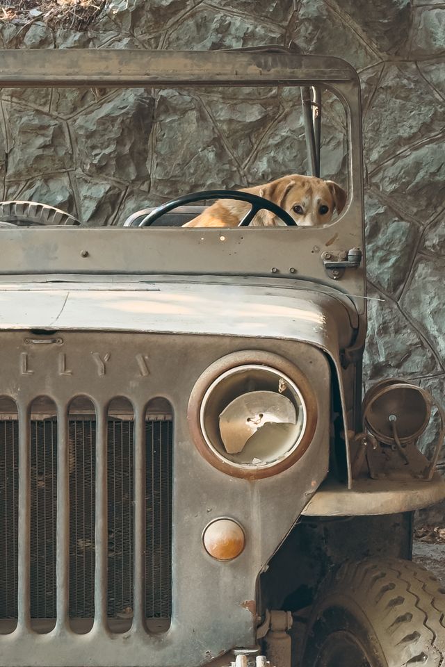 Nostalgia-1