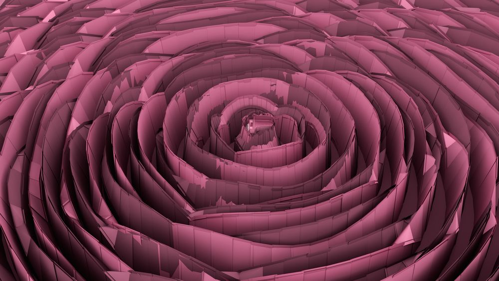 The Rose Labyrinth