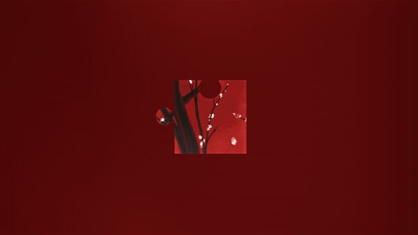 Fragment 17