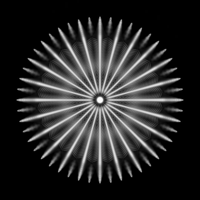 Void Flower
