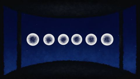 GUARDIAN | Nocturnal Bloom
