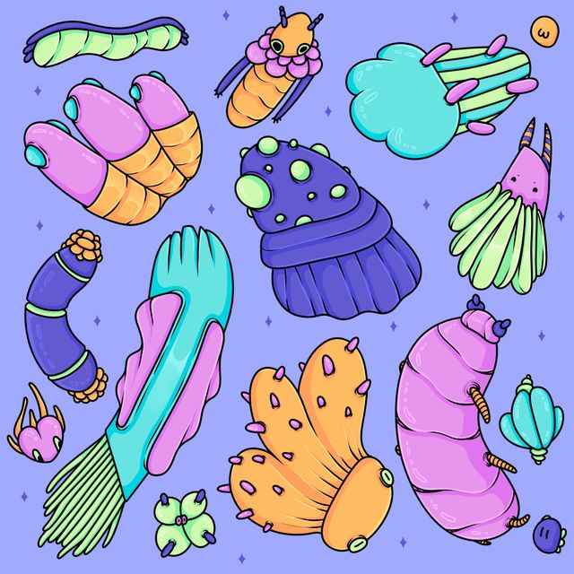Rainbow Critters
