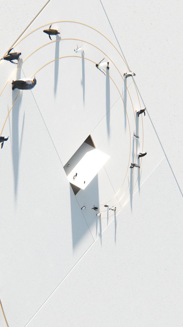 Seeing Both Sides (Daylight)