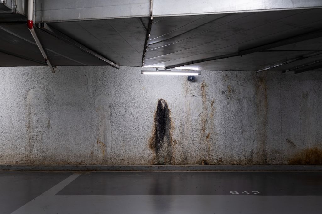Subject 642