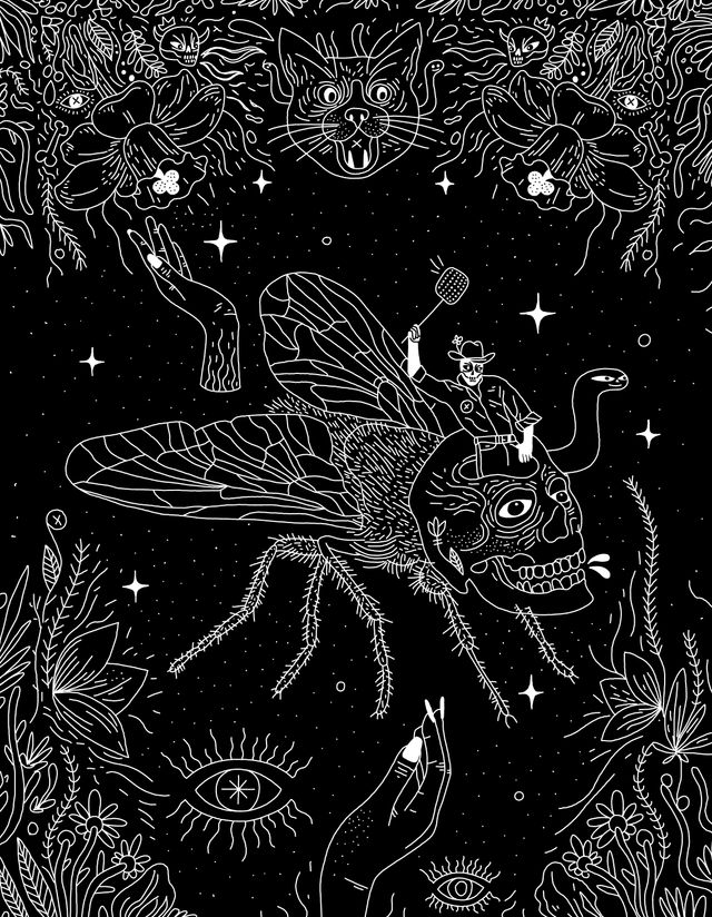 Flies and Cowboys