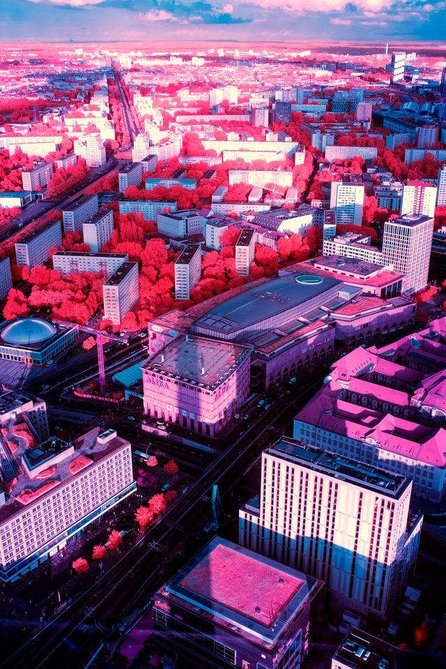 Berlin in the Shadow of the TV Tower