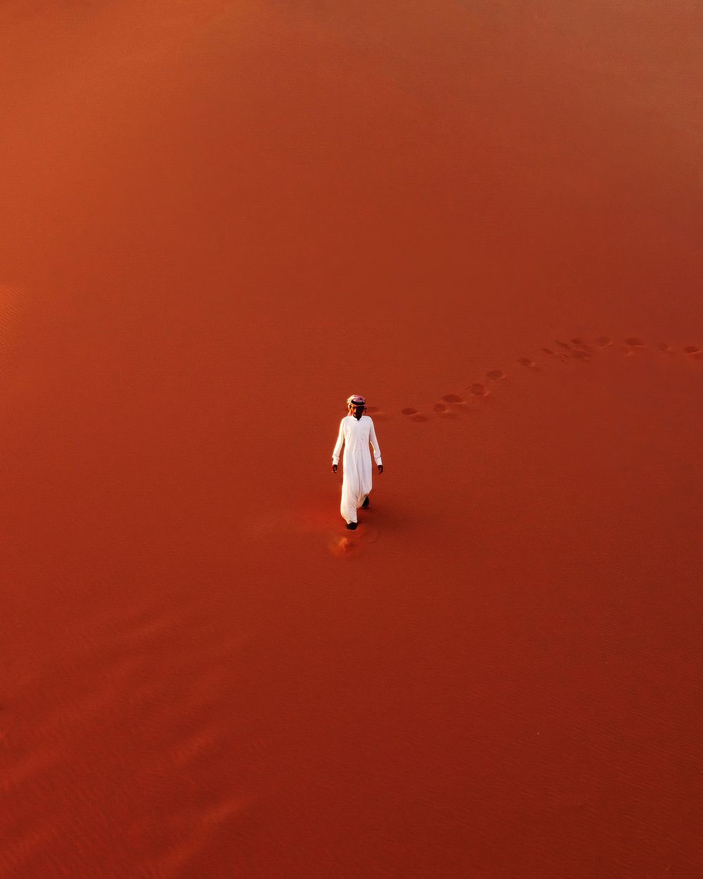 The Martian