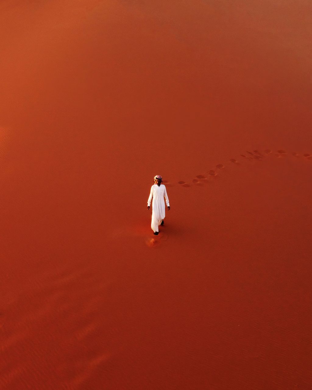 The Martian