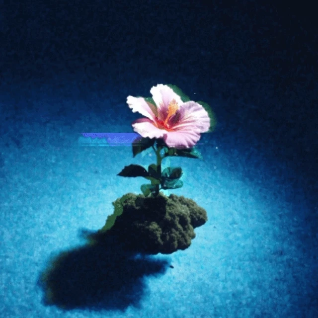 Flower004