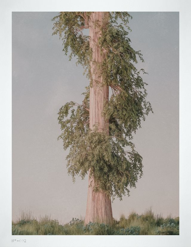 postcards | 002