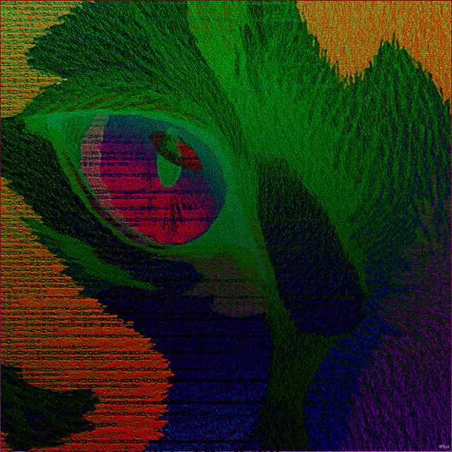 "Eye Of The Code"