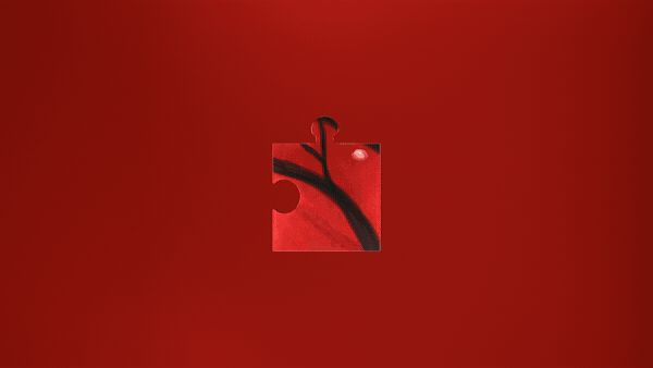 Fragment 23
