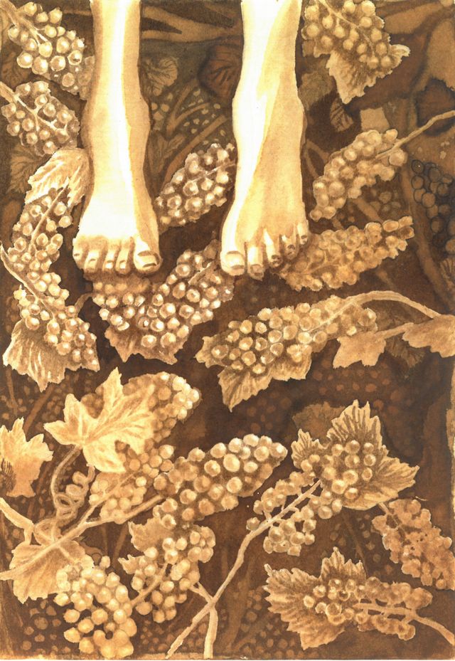 Where Grapes Remember