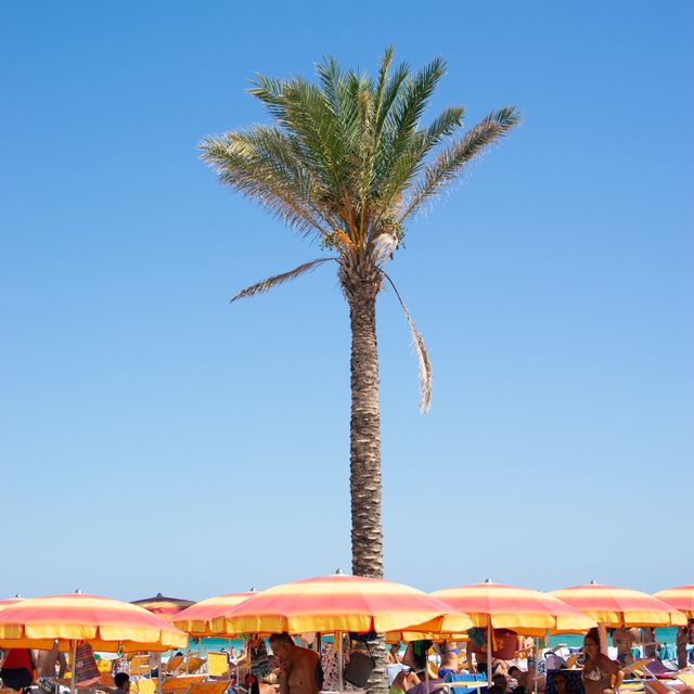 Meet  Me At The Palm Original