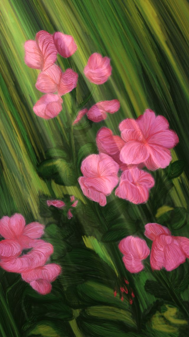 Life Impression 28