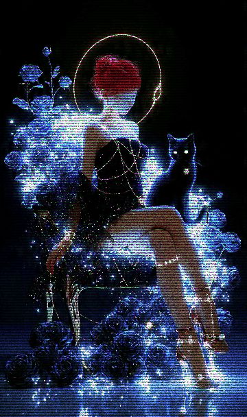 Black Cat Signal
