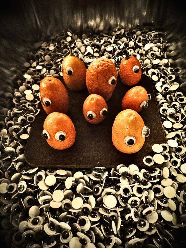 Uncaptioned Kumquattery #9