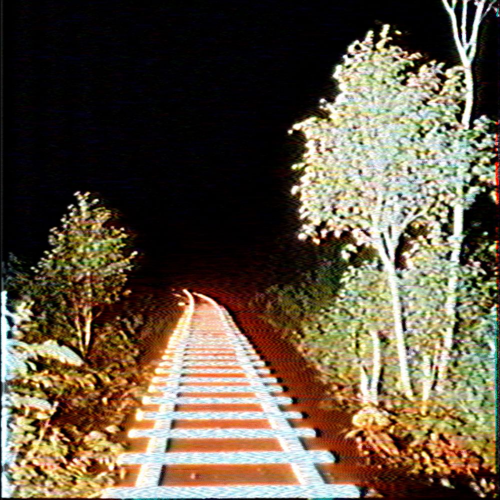 Fiber Optic Rails