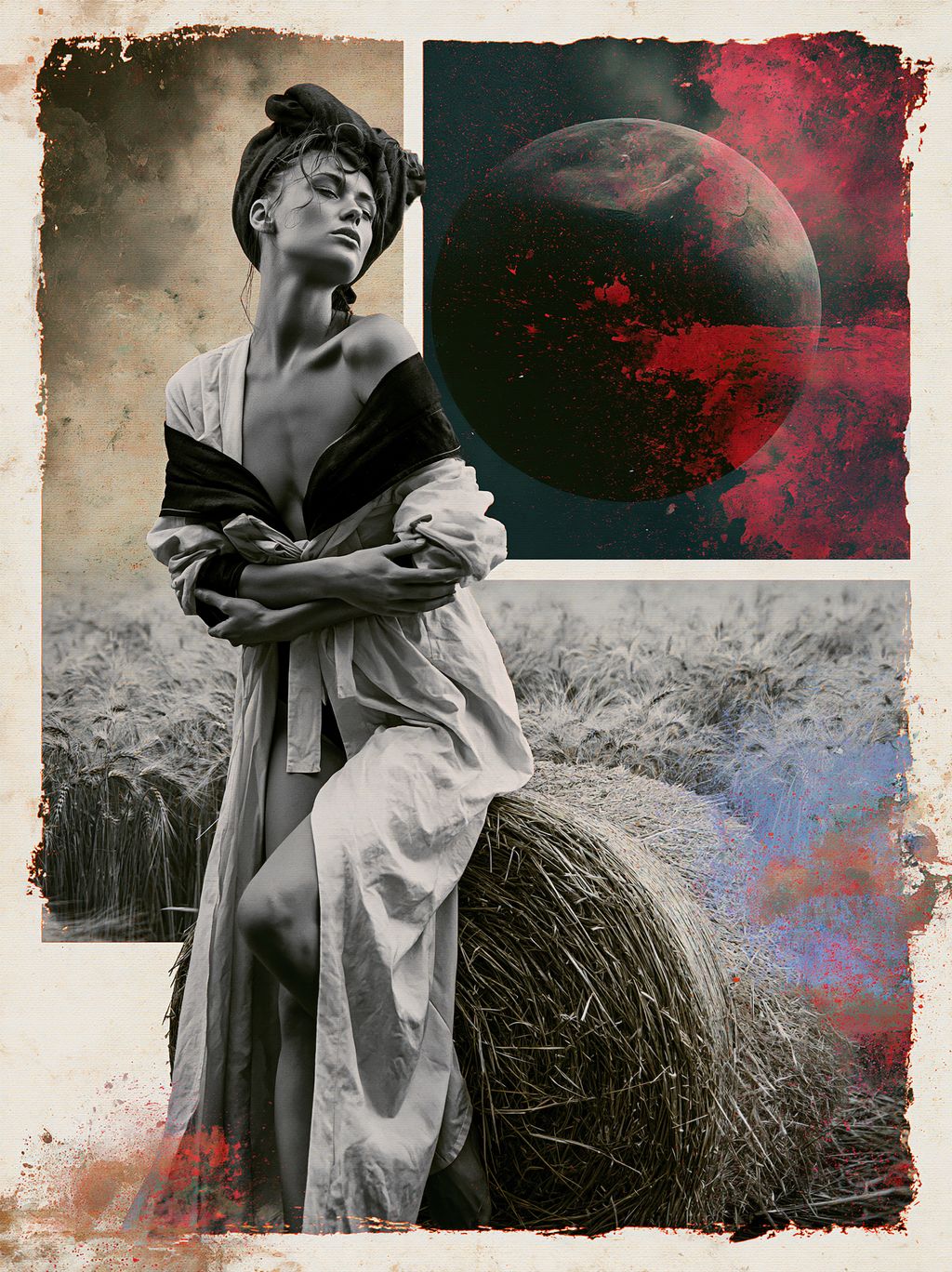 THE LAST HARVEST