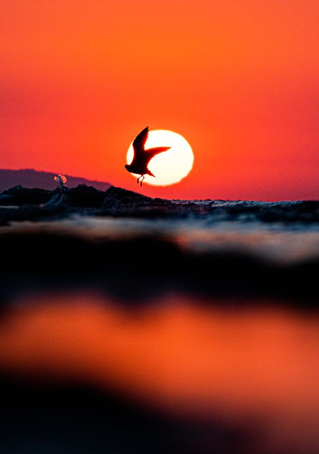Flying with the Sun