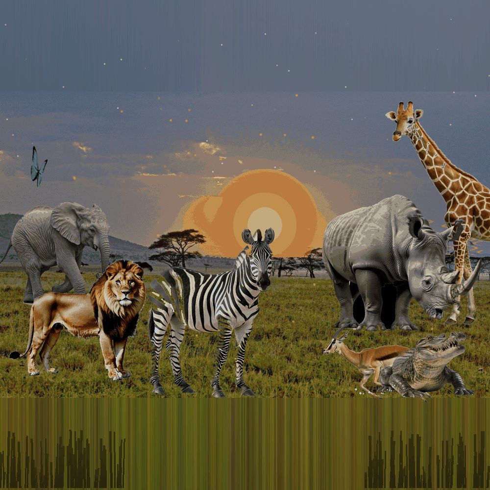 Savanna 