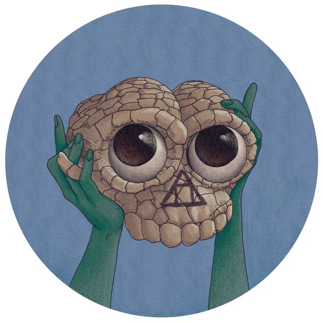 FAKE Emerge from Wander
