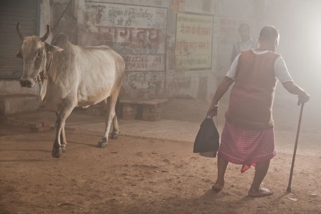 In a Village in the early morning, Vrindavana, Uttar Pradesh