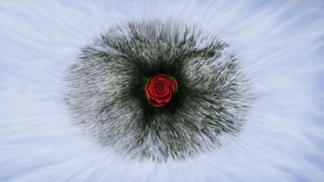 Blaze Of Desire