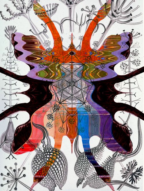 Spirit of the Black Swan