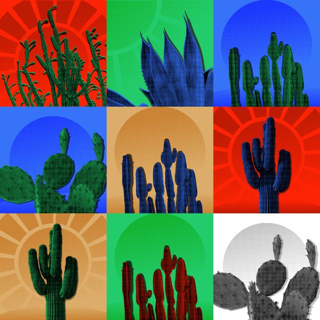 Desert.EXE