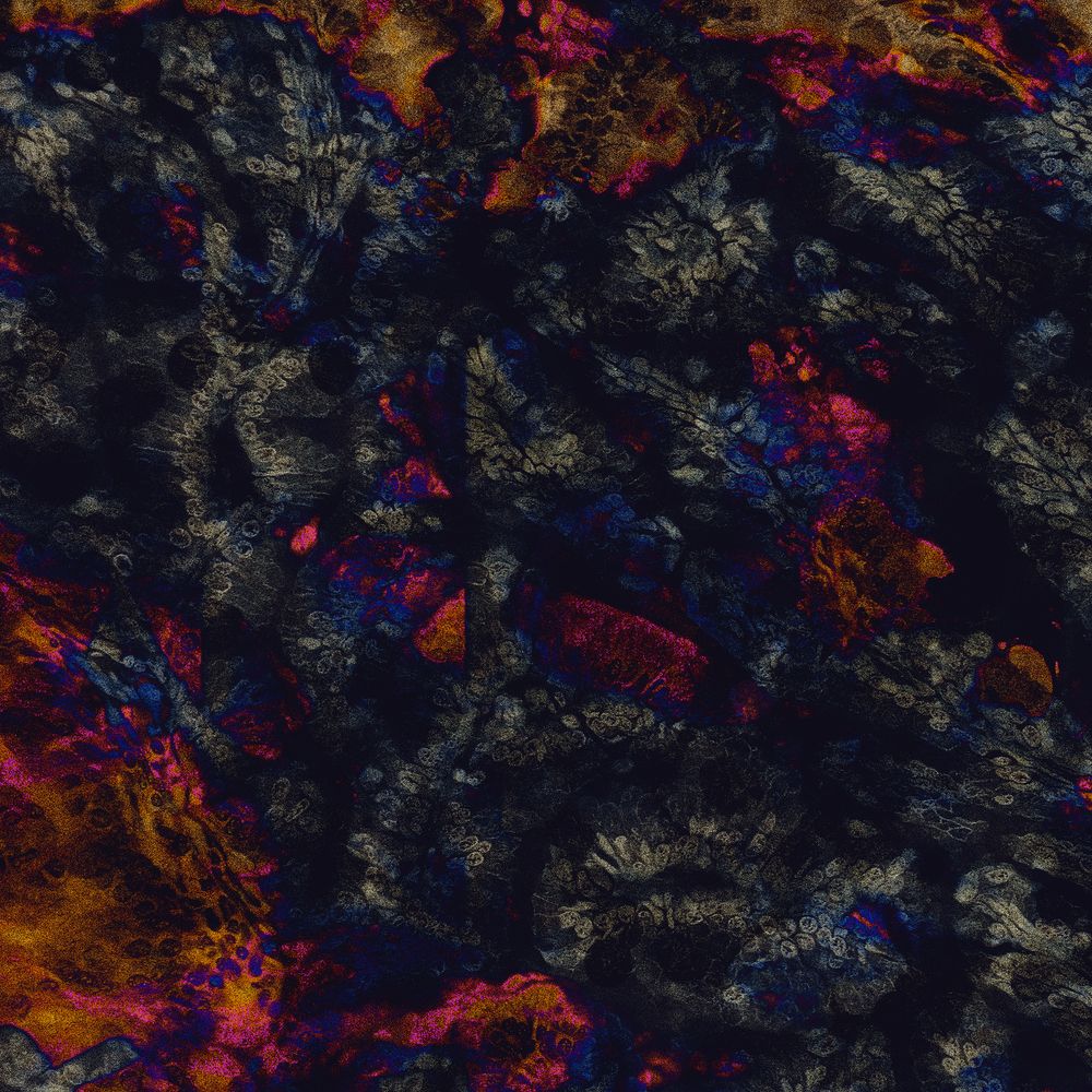 Micrographic Study #1: Via Astra