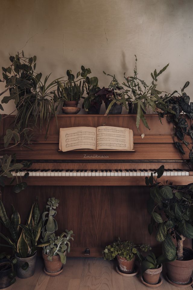 Music of my soul - Sonata No.1