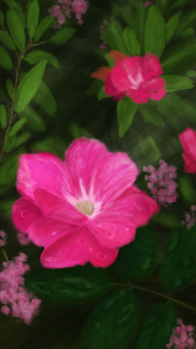 Life Impression 24