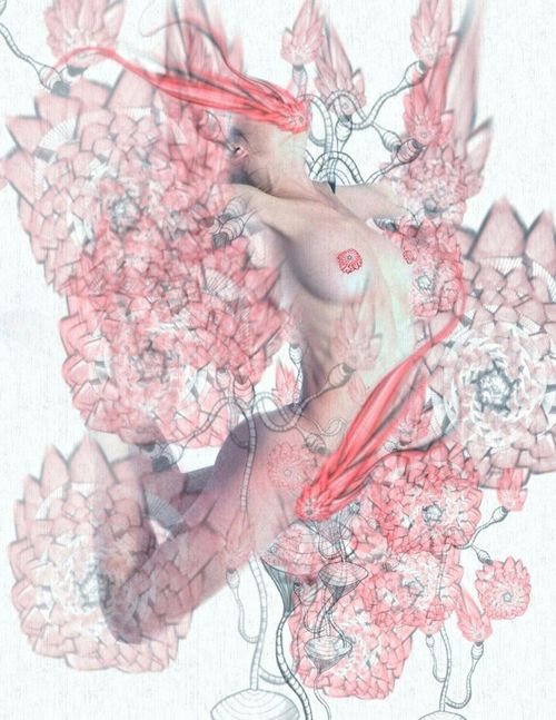 Erotic Blooms