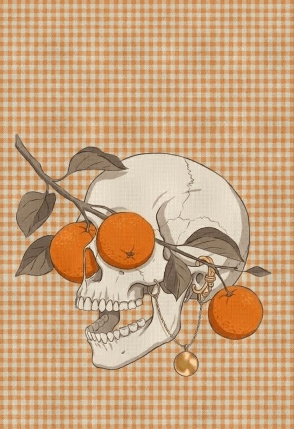 Orange Dream 🍊