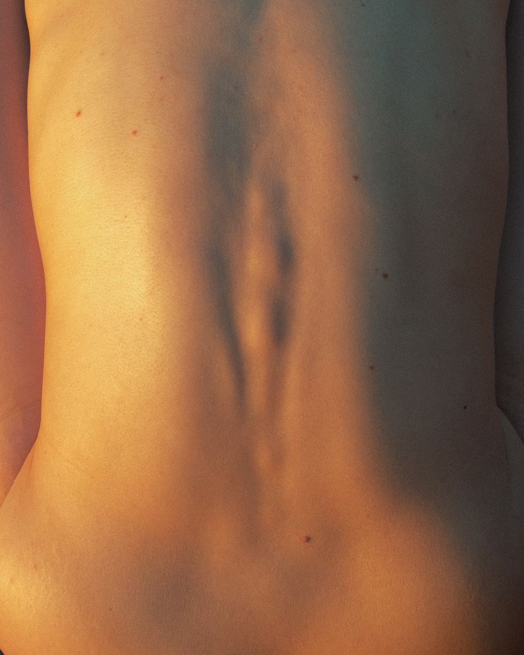 Landscape of Skin