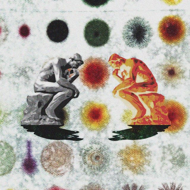 Cells Observer