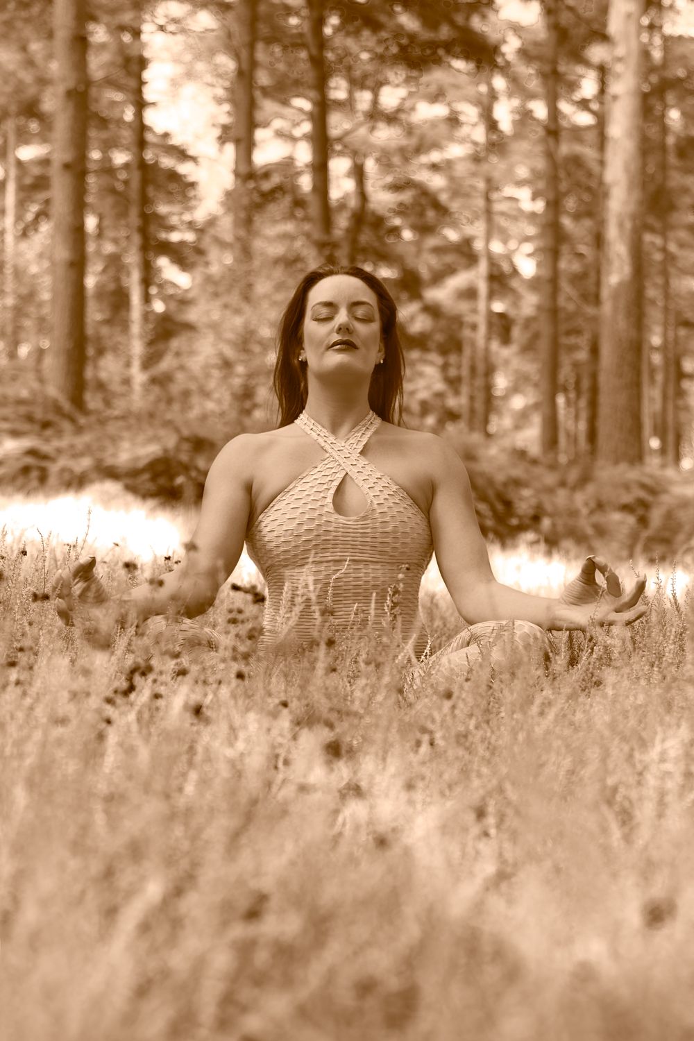 The Holmbury Lotus - Sepia Tone