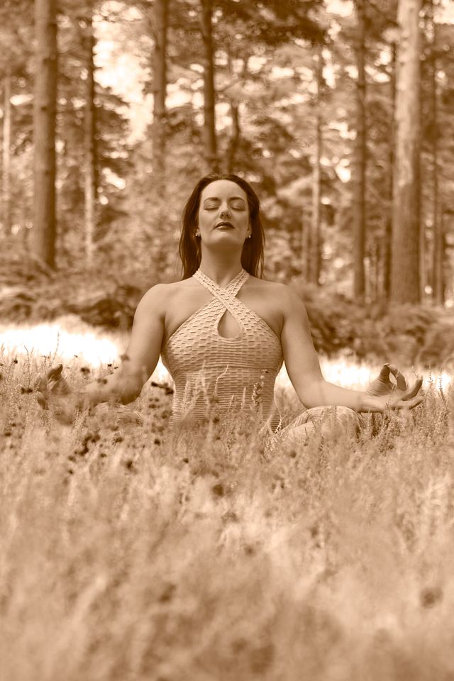 The Holmbury Lotus - Sepia Tone