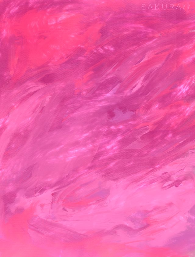 S A K U R A / /