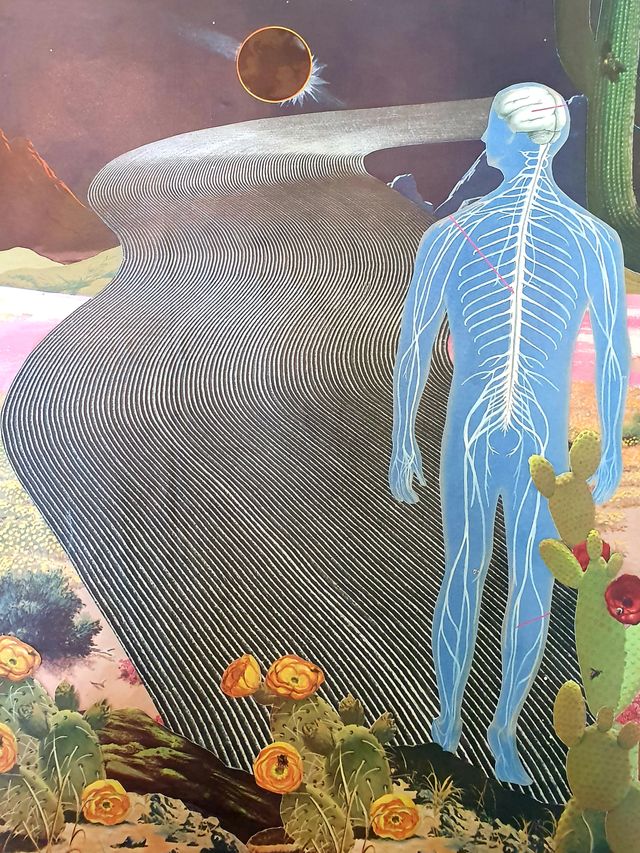 Journey Through the Mind