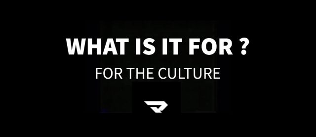 WHAT IS IT FOR ? 
