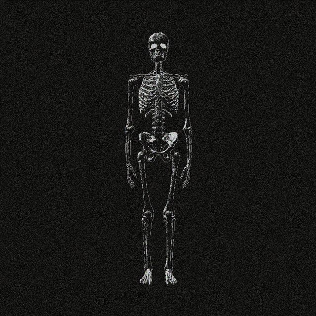 Experiment