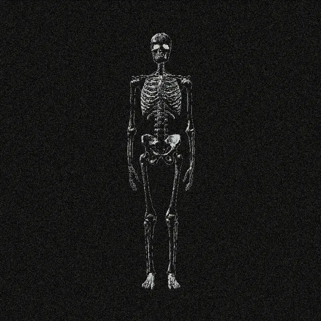 Experiment