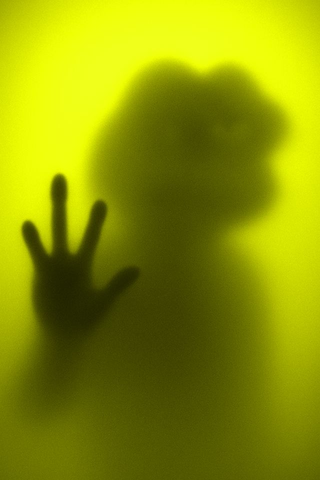 Arrival (The Citrine Edition)